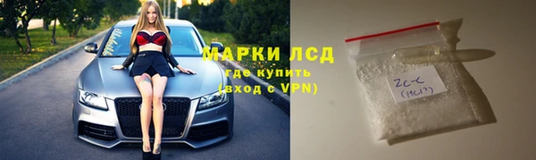 стаф Вязьма