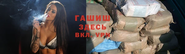 стаф Вязьма