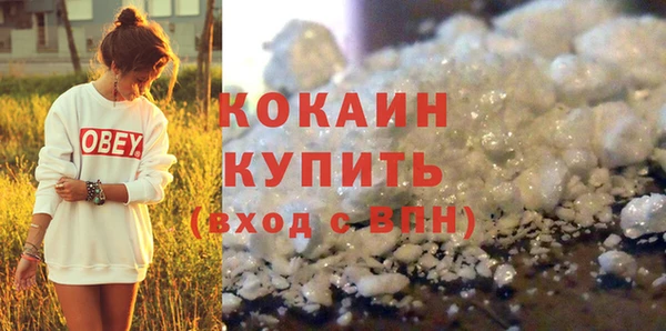 стаф Вязьма