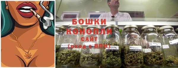 стаф Вязьма